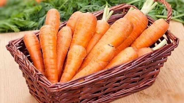 Морковь: сорта, выращивание в открытом грунте, полив, посадка, уход, подкормка, болезни, вредители, хранение урожая