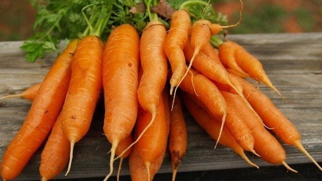 Как посушить морковь для длительного хранения