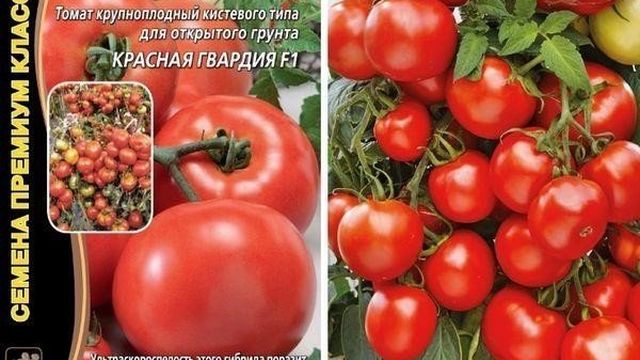 Томат Красная гвардия: описание и характеристика сорта, выращивание и уход с фото